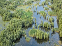 Parcul National Insula Mica a Brailei